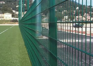 Double Wire Fence