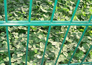 Double Wire Fencing