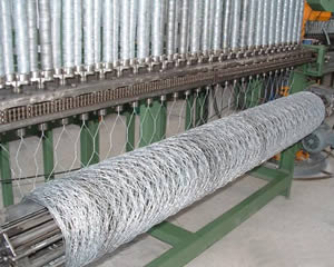 Hexagonal Wire Netting