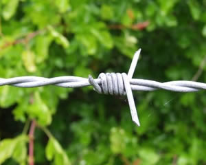 Barbed Wire